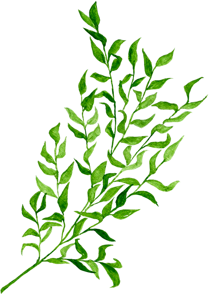 Branch of Green Leaves Cutout